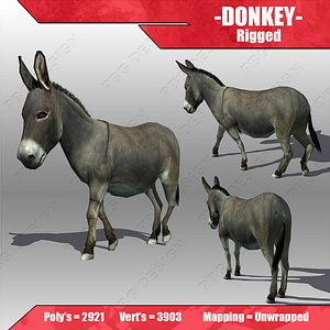 donkey animations 3d model