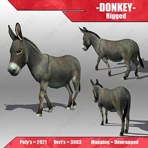 Donkey