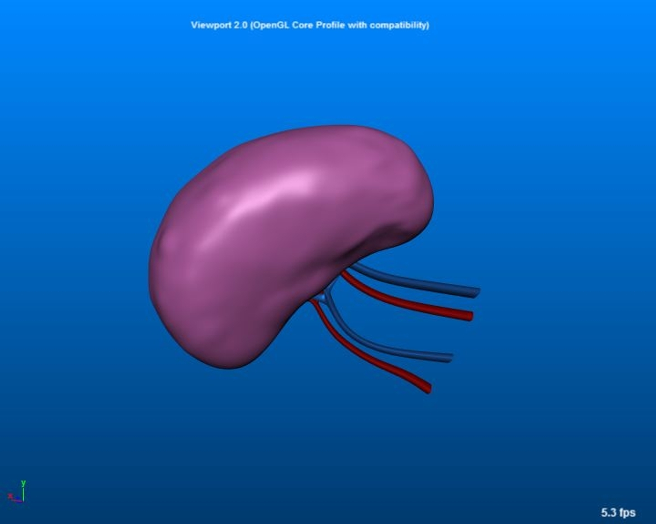 3D spleen section https://p.turbosquid.com/ts-thumb/Sp/1BKI9q/IQAZ0xZy/spleen/jpg/1542208508/1920x1080/turn_fit_q99/95ee4431764e79820395f47d17207a86e7db351c/spleen-1.jpg