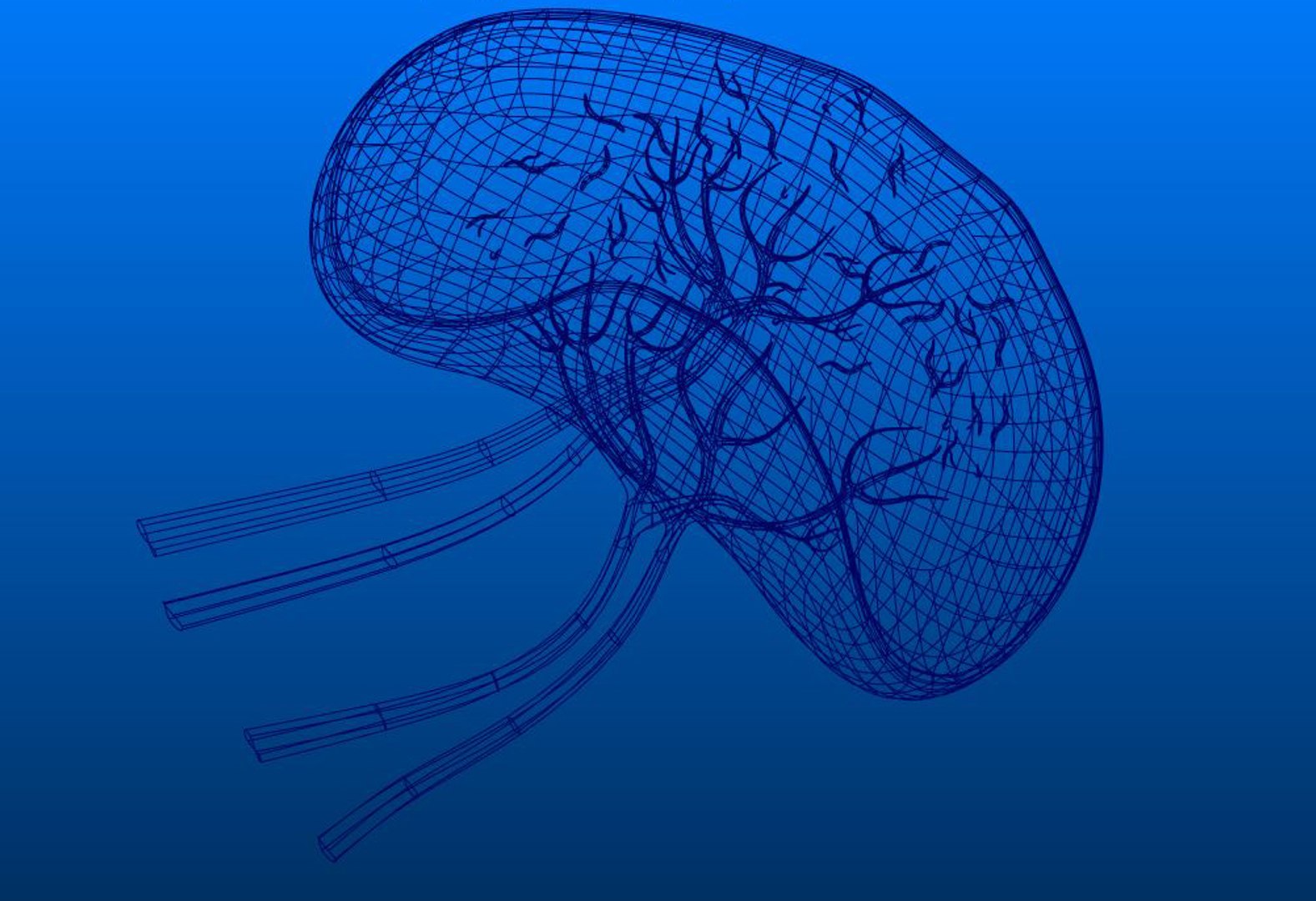 3D spleen section https://p.turbosquid.com/ts-thumb/Sp/1BKI9q/aNmYdzQK/spleen_e/jpg/1549116683/1920x1080/fit_q87/ed323535a6768e59697a693ad75195caa7078666/spleen_e.jpg