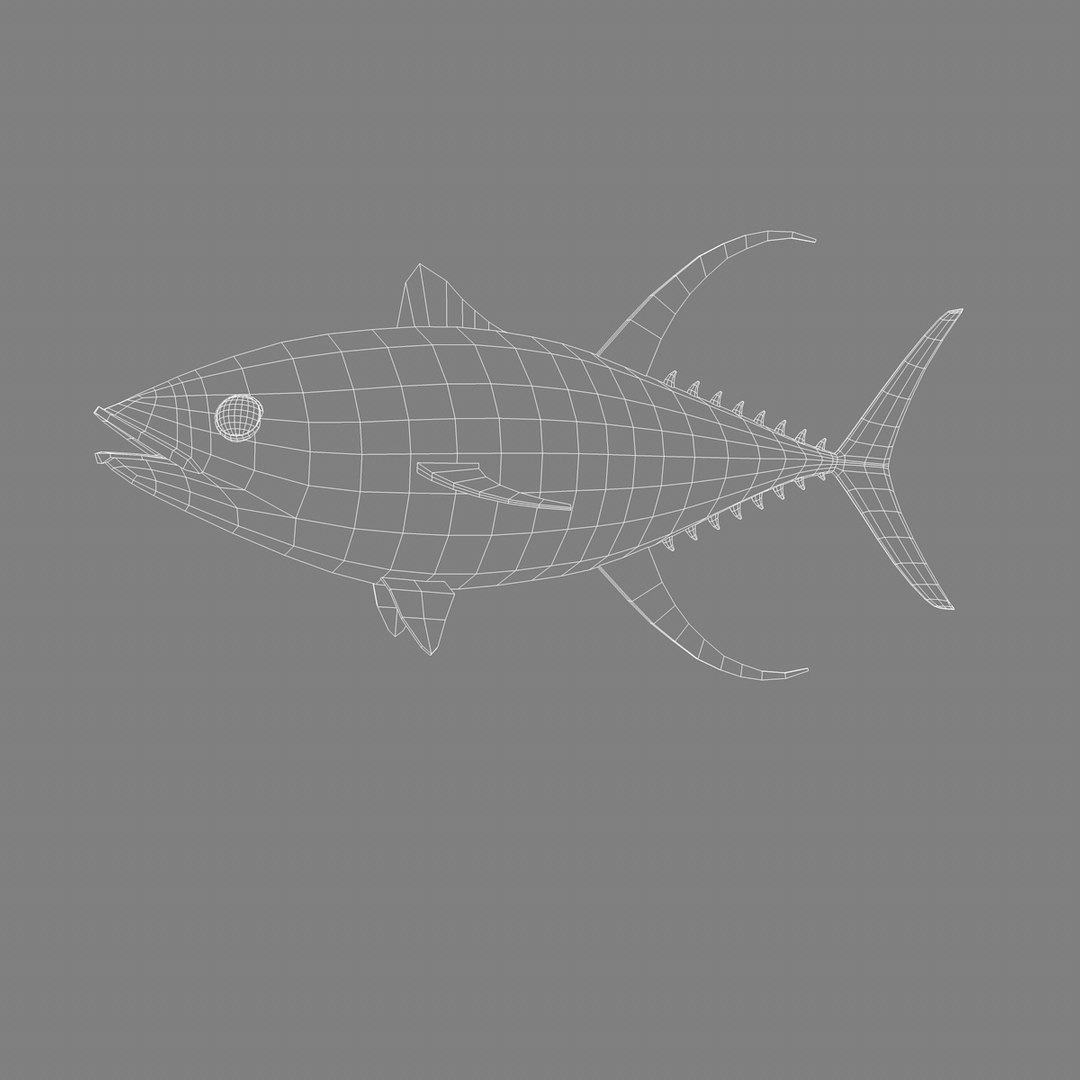 yellowfin tuna 3d model https://p.turbosquid.com/ts-thumb/Sp/1je6gL/X0ALo5Zn/008/jpg/1440797177/1920x1080/fit_q87/a87fc49ab24d82432b5b2a3c84a2711aa2aa6a3b/008.jpg
