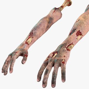 3D model bloody zombie arms rigged