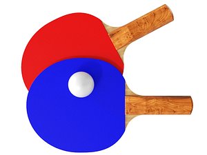 tennis wood 3D