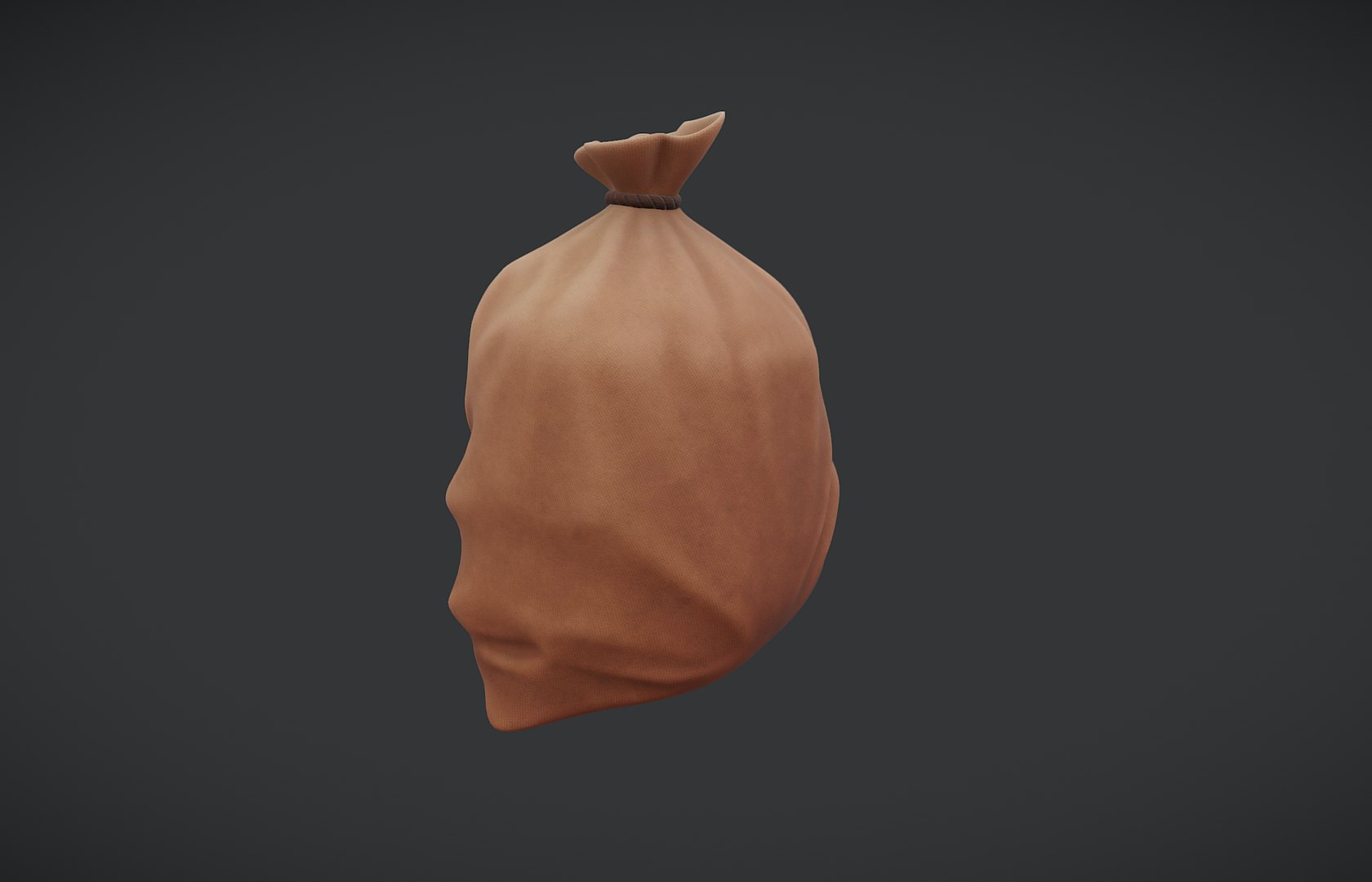 3D Burlap Sack https://p.turbosquid.com/ts-thumb/Sp/Hntmyi/IS/zz261003115321/png/1791003325/1920x1080/fit_q87/fa849859eb3bd9a532246c13cc3e9148f42bb1c6/zz261003115321.jpg