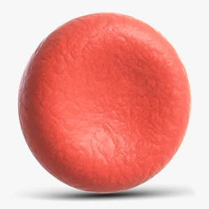 3D red blood cell model