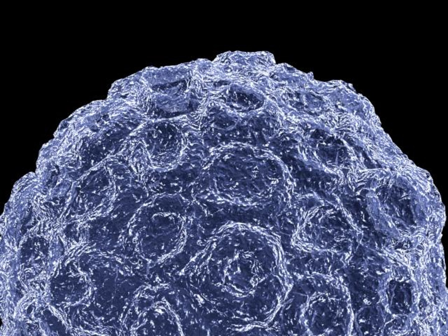 3d Human Papilloma Virus Model