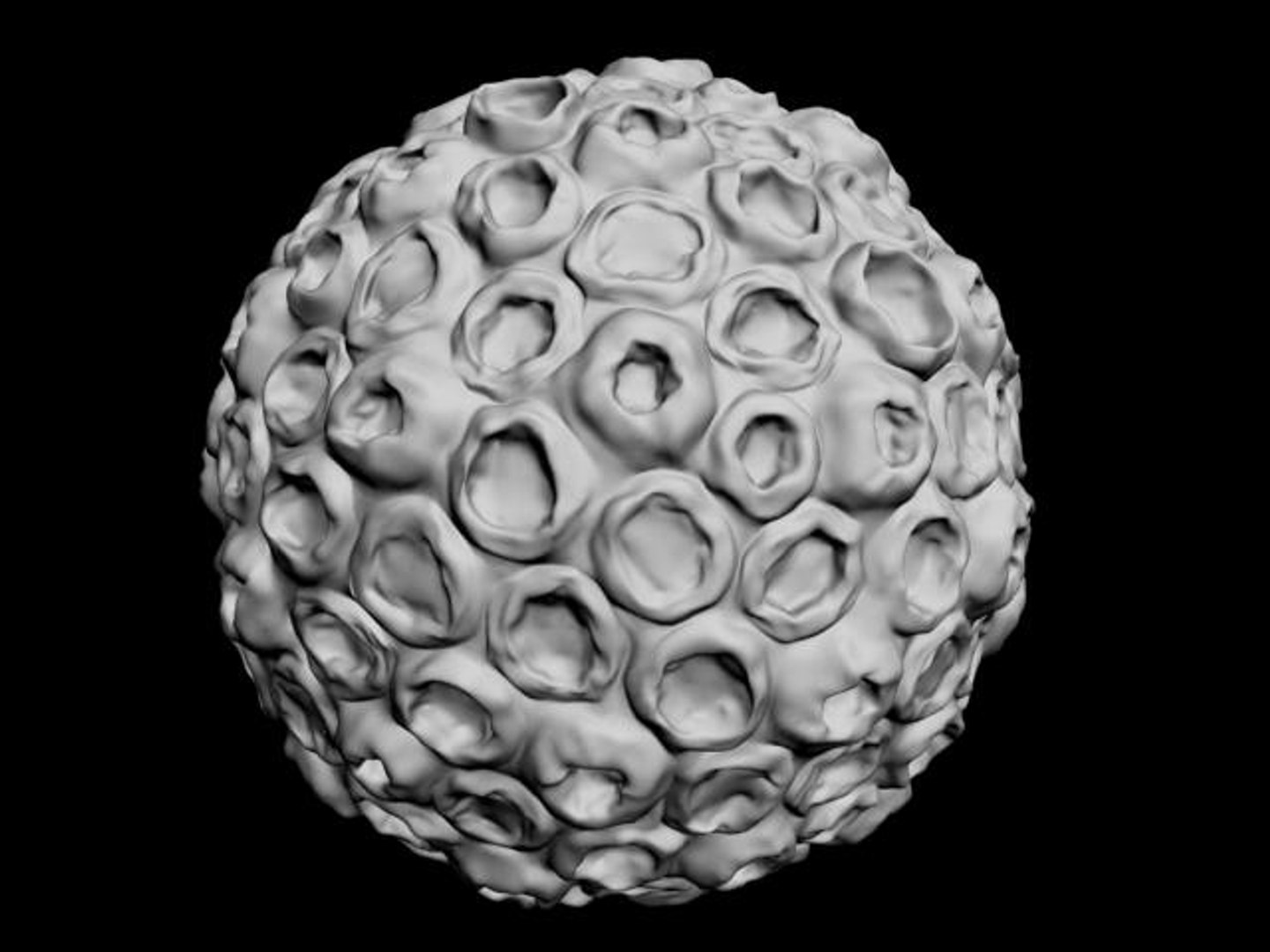 3d Human Papilloma Virus Model