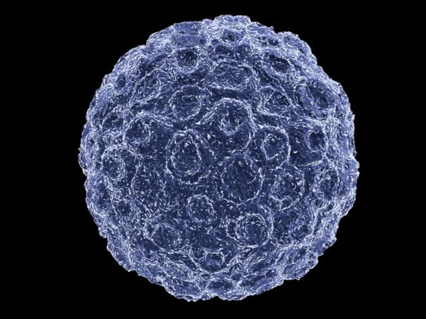 3d Human Papilloma Virus Model
