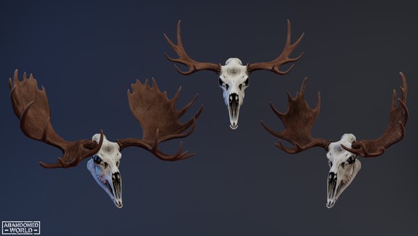 ヘラジカの頭蓋骨3Dモデル - TurboSquid 2176601 ヘラジカの頭蓋骨3Dモデル - TurboSquid 2176601