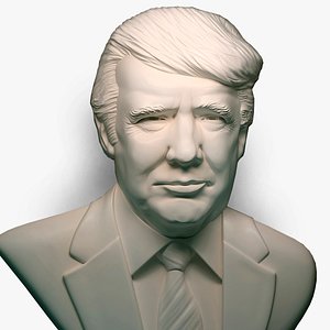 Trump Portrait Bas-relief for 3d printer 3D