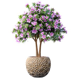 Decorative flowering garden Arabic tree flowerpot oriental style
