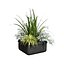 3D Outdoor Plant Pot with Realistic Flowers model
