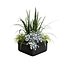 3D Outdoor Plant Pot with Realistic Flowers model