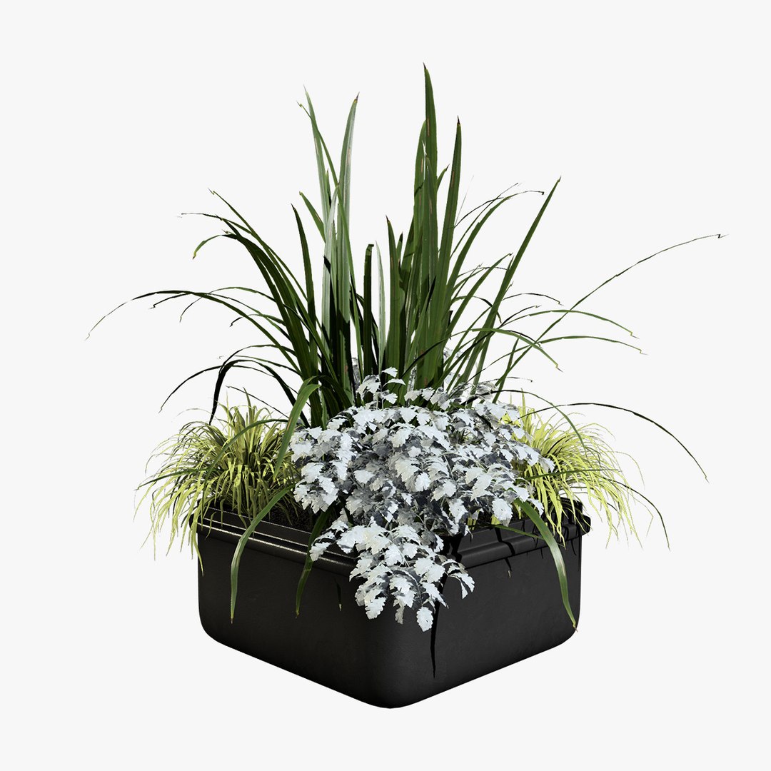 3D Outdoor Plant Pot with Realistic Flowers model https://p.turbosquid.com/ts-thumb/Sq/3h6Kg4/yb/search/jpg/1715778654/1920x1080/fit_q87/ca2a20c600ab47f1fec3226043f106689e8e75a6/search.jpg