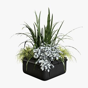 3D Outdoor Plant Pot with Realistic Flowers model