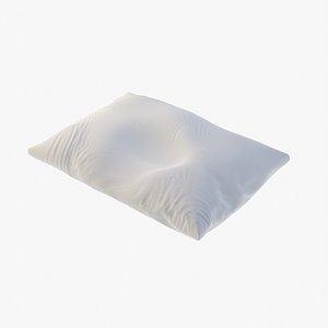 3D Sleeping Pillow model