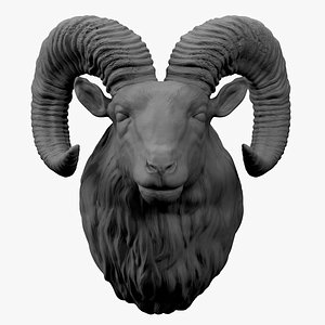 Ram Head 3D
