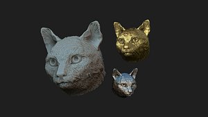 cat head