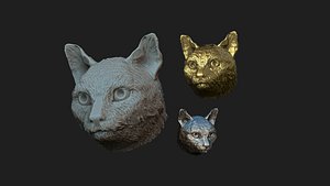 cat head