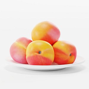 3D apricots on plate model