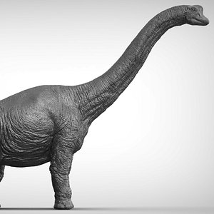brachiosaurus 3D model