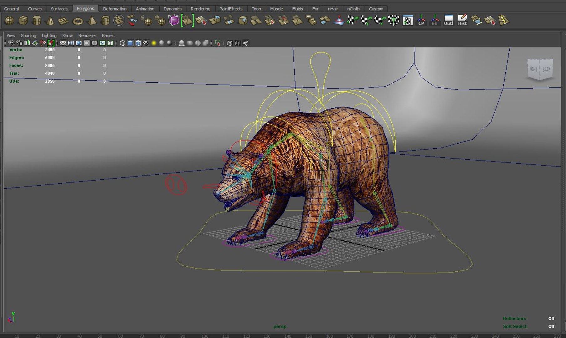 3D Bear Rigged Model - TurboSquid 1254507