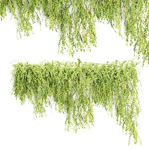 3D Low Poly Hanging wall plants N51805