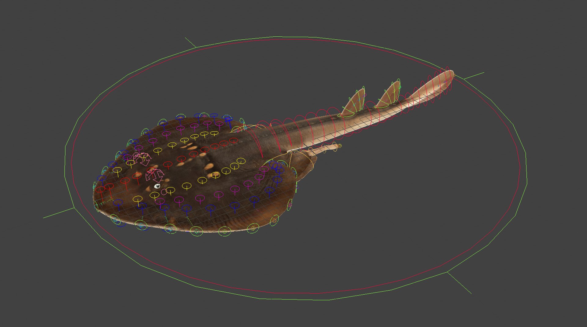 Yellow Spotted Fanray 3D model https://p.turbosquid.com/ts-thumb/Sq/bRTHYh/CM/rig1/jpg/1751139627/1920x1080/fit_q87/faf13539b93c99cbb5ab46b7cfb15585b87792de/rig1.jpg
