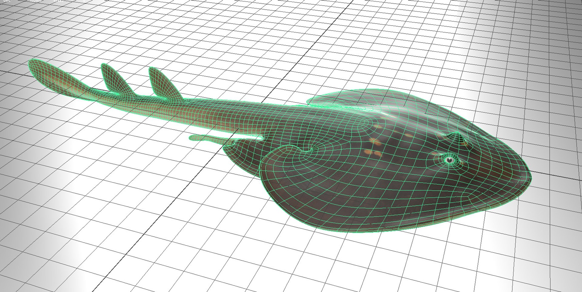 Yellow Spotted Fanray 3D model https://p.turbosquid.com/ts-thumb/Sq/bRTHYh/l6/18/jpg/1751139630/1920x1080/fit_q87/1f68901132dc26323a814b80aed44ce508e443f8/18.jpg