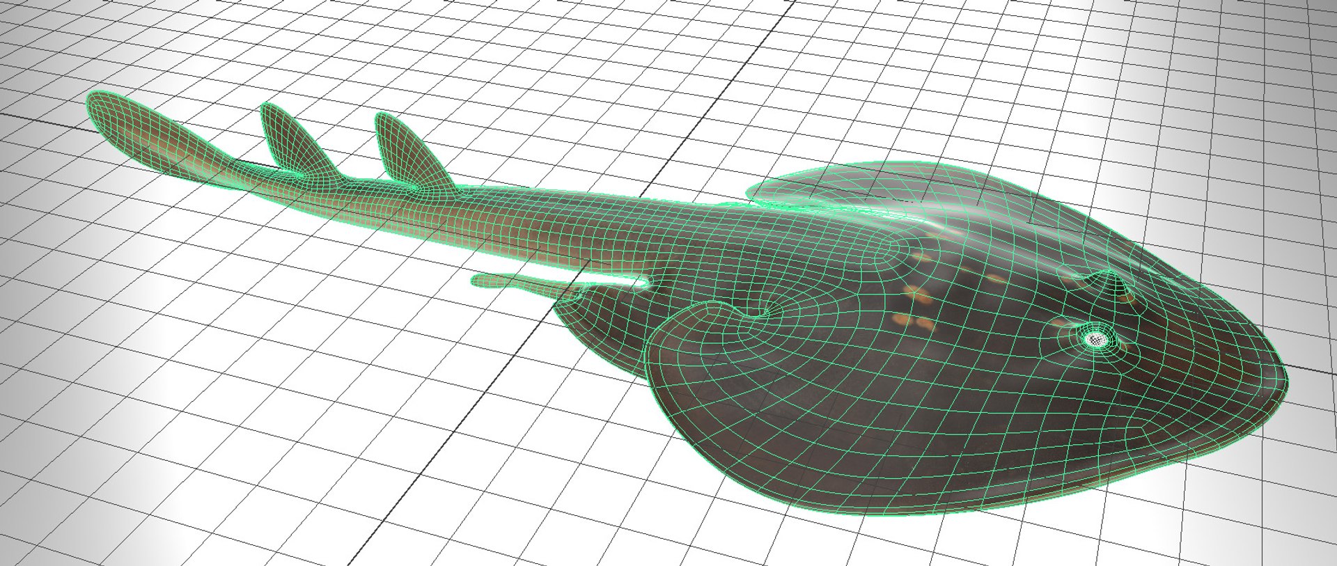 Yellow Spotted Fanray 3D model https://p.turbosquid.com/ts-thumb/Sq/bRTHYh/xr/15/jpg/1751139649/1920x1080/fit_q87/9e9fa54ca916d12e1c3fd4d9672a8ff0ee678e10/15.jpg