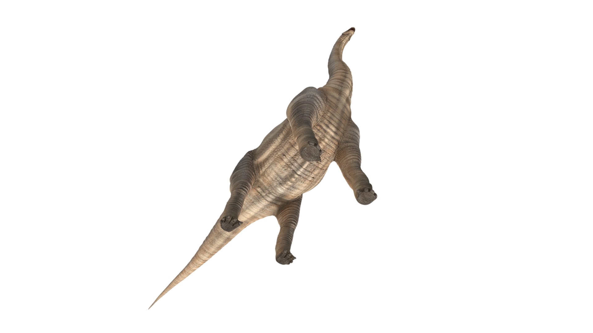 brachiosaurus blender v-multi model https://p.turbosquid.com/ts-thumb/Sq/fxyb7h/0H/img_6/jpg/1624705816/1920x1080/fit_q87/5a1408d76e34bce758efd46abf82b01492b85869/img_6.jpg