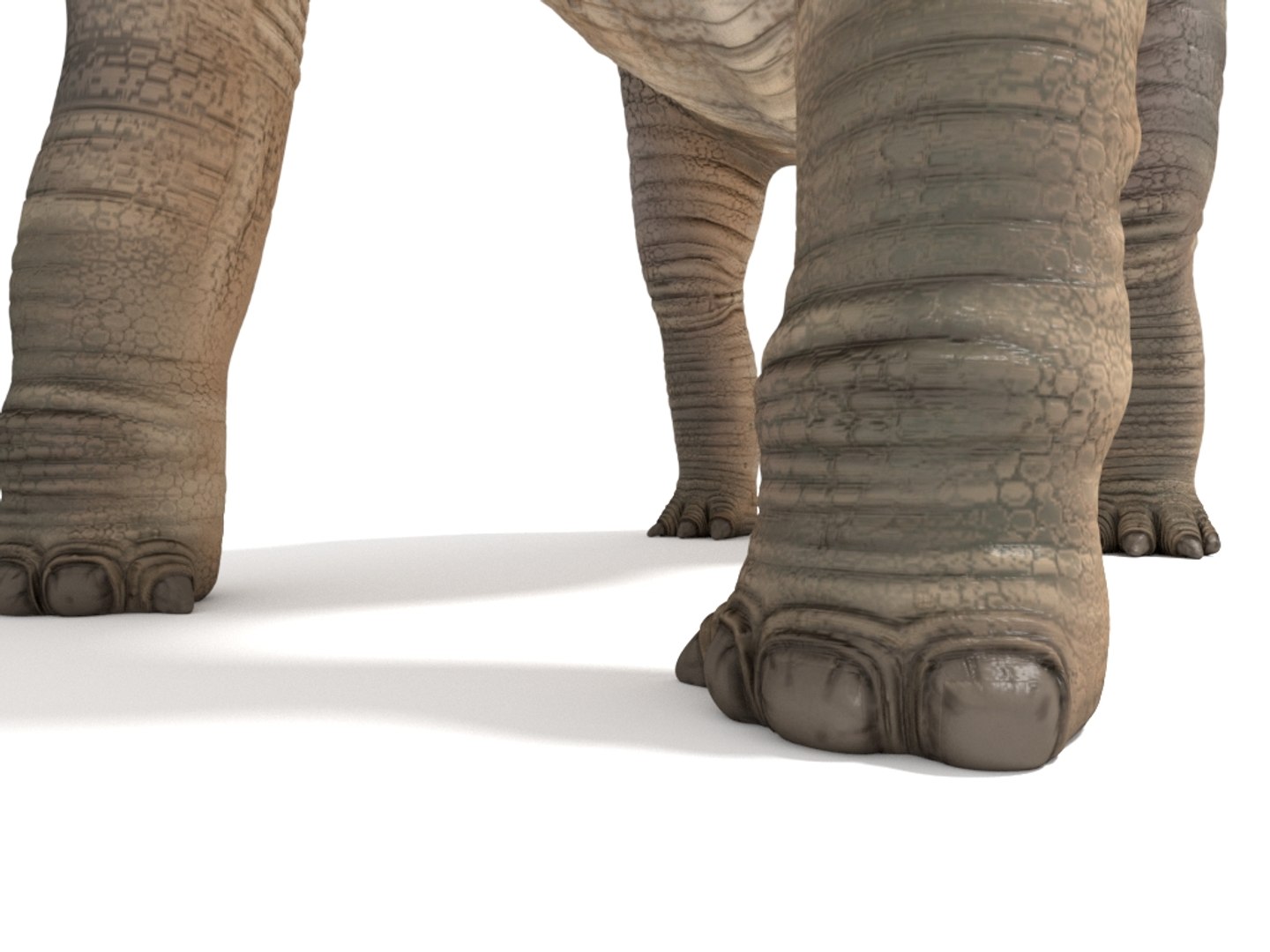 brachiosaurus blender v-multi model https://p.turbosquid.com/ts-thumb/Sq/fxyb7h/AV/img_8/jpg/1624705819/1920x1080/fit_q87/0b417e8fad1b820de8eec879cde1faccf0c51882/img_8.jpg