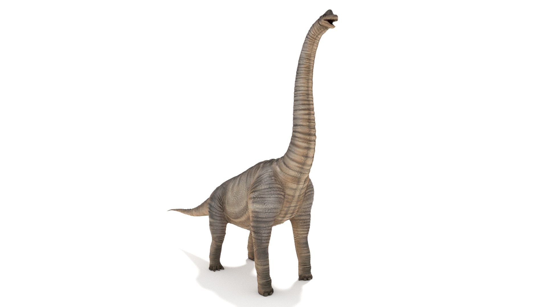 brachiosaurus blender v-multi model https://p.turbosquid.com/ts-thumb/Sq/fxyb7h/G9/img_4/jpg/1624705816/1920x1080/fit_q87/0ea238f0e9d4040c4f8e72b36cce0940d0818ec9/img_4.jpg