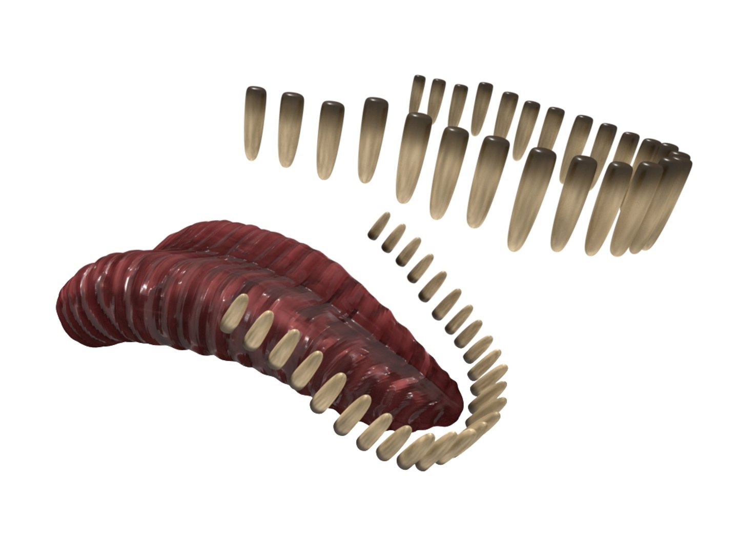 brachiosaurus blender v-multi model https://p.turbosquid.com/ts-thumb/Sq/fxyb7h/Sl/img_12/jpg/1624705817/1920x1080/fit_q87/7fc3ec910ff02813a10fa7e9592bb241cb144878/img_12.jpg