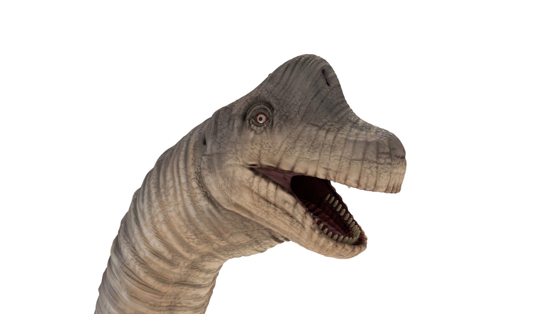 brachiosaurus blender v-multi model https://p.turbosquid.com/ts-thumb/Sq/fxyb7h/V3/img_5/jpg/1624705820/1920x1080/fit_q87/f97d7c9b1549a546aa36f1e6b5c40849e19e4c37/img_5.jpg