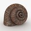 Caparazón de caracol