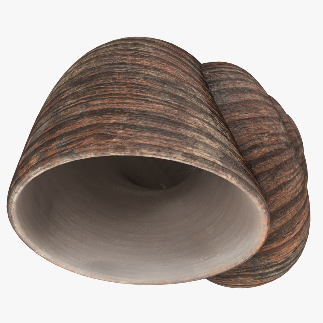 3d snail shell model https://p.turbosquid.com/ts-thumb/Sq/ksk6Gy/tU48h5x2/snailshell_rr_12/jpg/1394980231/1920x1080/fit_q87/abc8480f985b24603ad24bb4fc9092141ad7f787/snailshell_rr_12.jpg