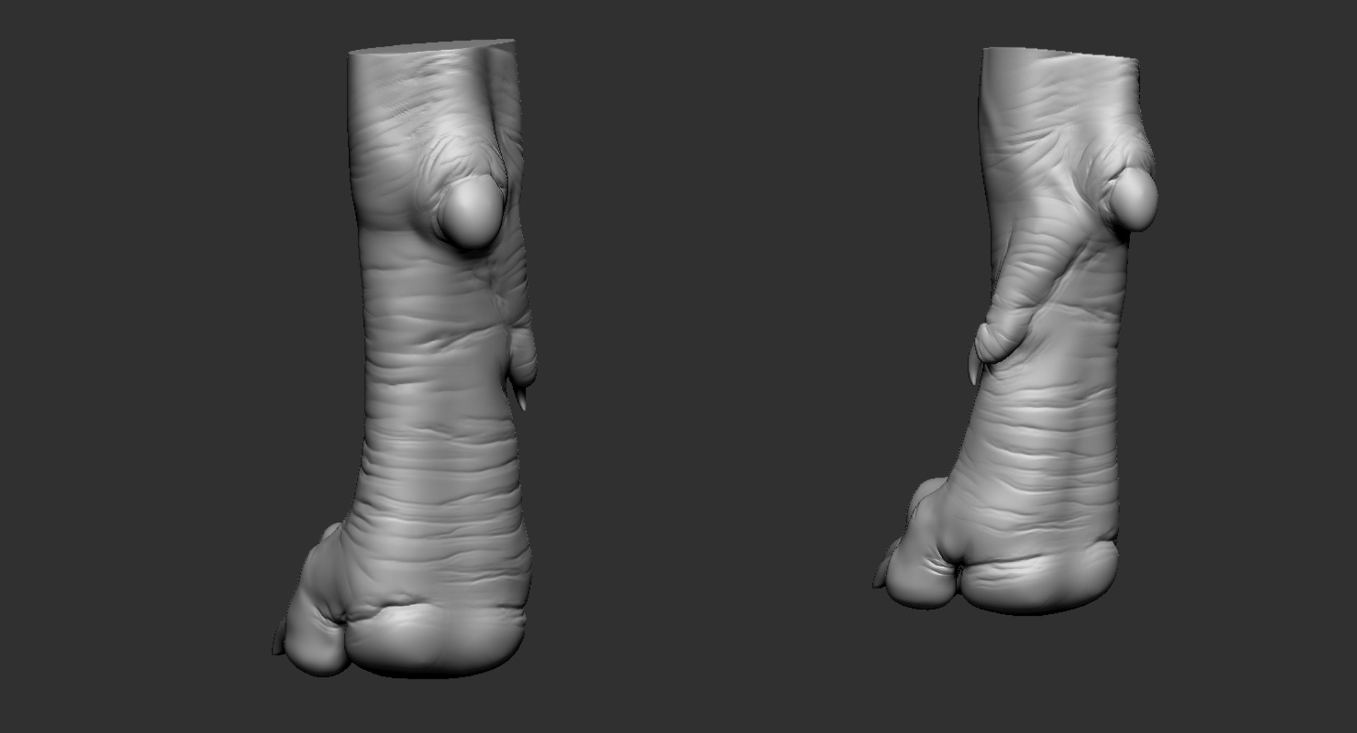 dog paw 3D model https://p.turbosquid.com/ts-thumb/Sr/0cccDN/088rRyFP/7/jpg/1584399281/1920x1080/fit_q87/48f3270eca4918548ef5503f00d017723b5a4498/7.jpg