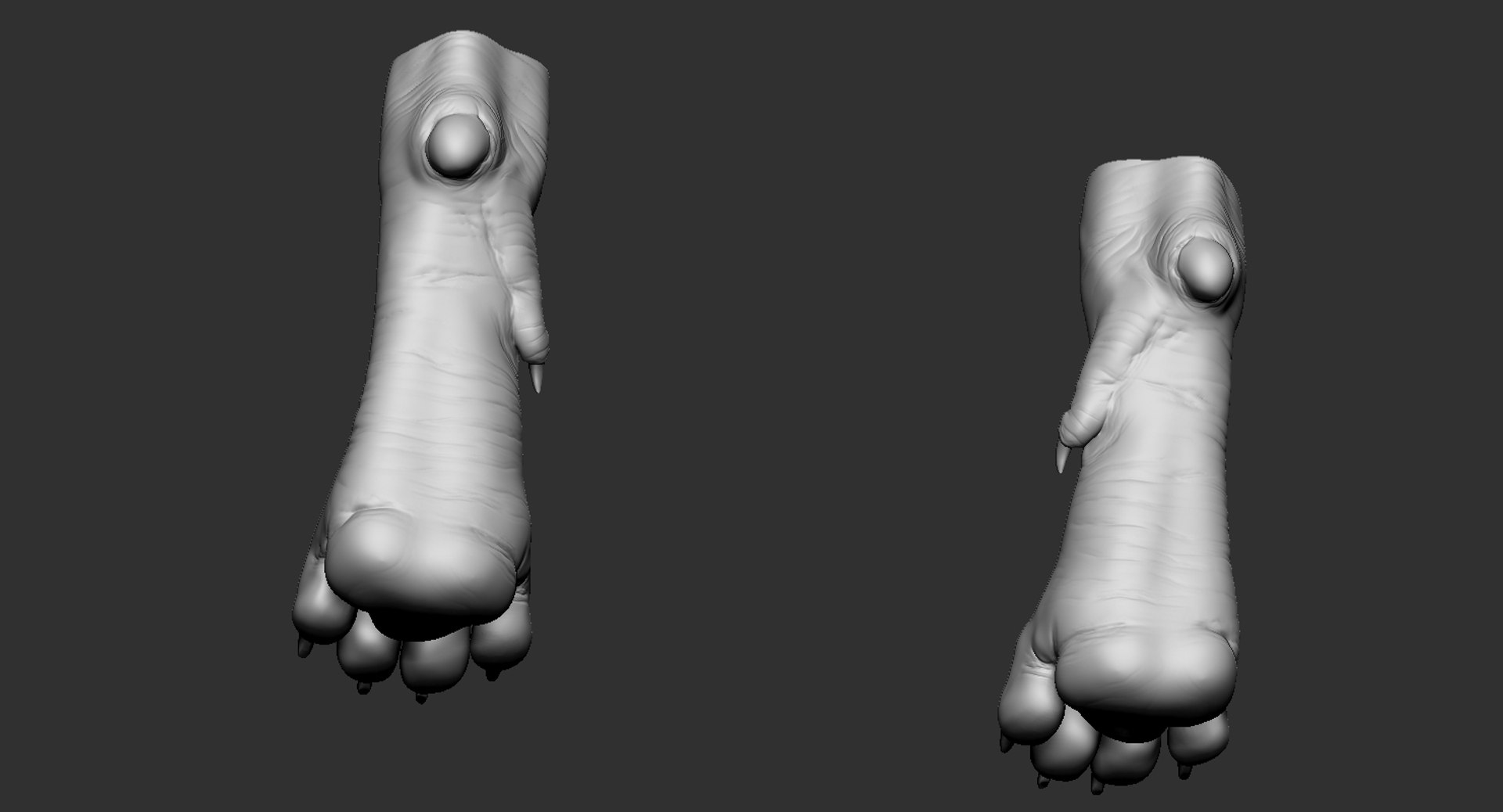 dog paw 3D model https://p.turbosquid.com/ts-thumb/Sr/0cccDN/rjhvjIYL/8/jpg/1584399281/1920x1080/fit_q87/d1b65c84474b1c9ad0e9f14396bac4a5620e6483/8.jpg