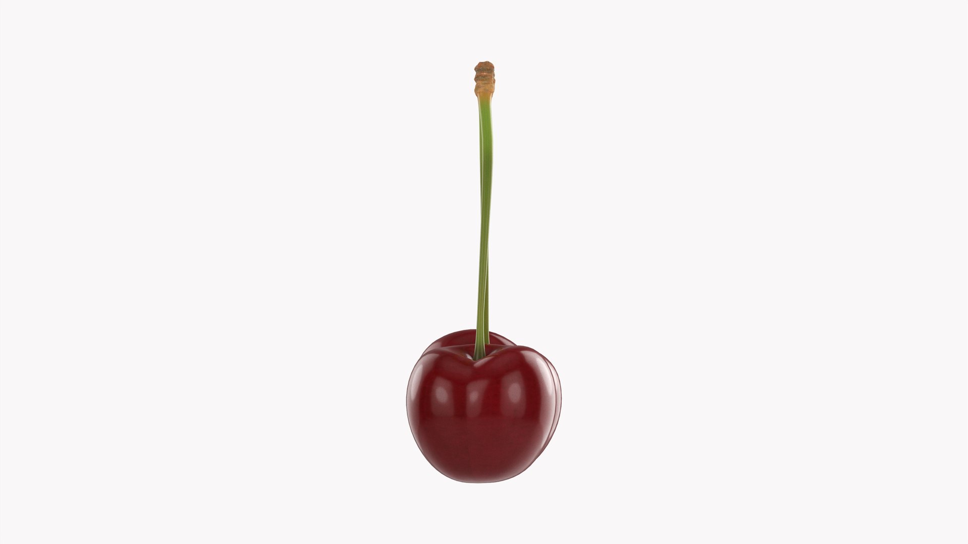 3D model Cherry double https://p.turbosquid.com/ts-thumb/Sr/IZY6hg/fH/006/jpg/1633004373/1920x1080/fit_q87/00229e0803efd26a3a19ff8ab7c522649d3e3a78/006.jpg