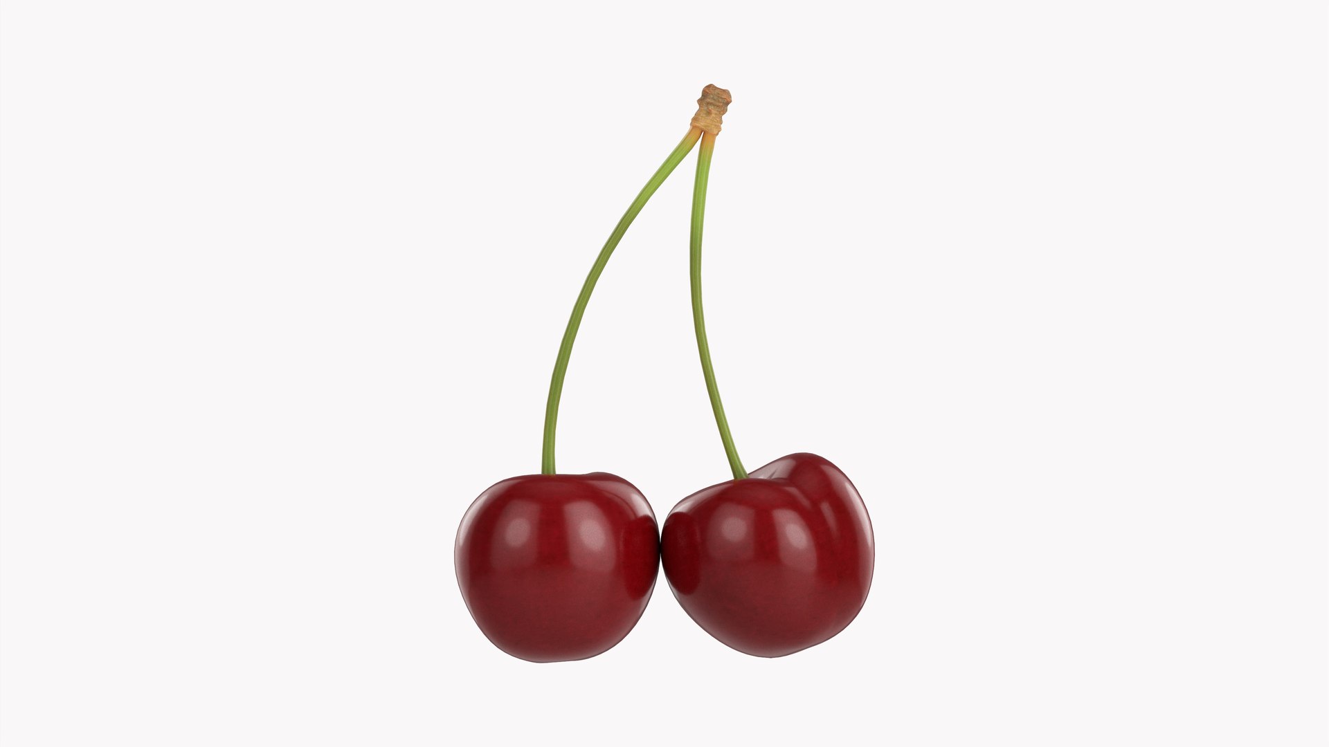3D model Cherry double https://p.turbosquid.com/ts-thumb/Sr/IZY6hg/kh/005/jpg/1633004369/1920x1080/fit_q87/dd322de44d7b1b0d51eccbc6167bd580516d37ac/005.jpg
