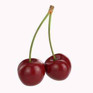3D model Cherry double