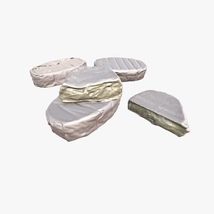 3D Scanned Camembert