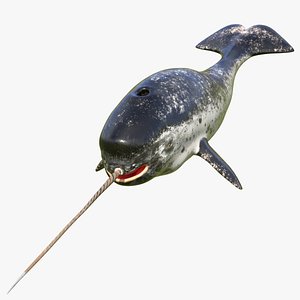 Toothed Whale Narwhal Rigged