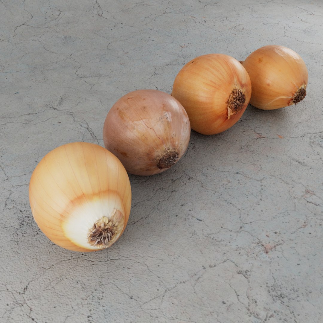 onion vegetable 3D model https://p.turbosquid.com/ts-thumb/Sr/sG5FZC/EUZgkkUT/preview4/jpg/1569775137/1920x1080/fit_q87/c1f1da35d44f380d4770d210c49a8a64a392c202/preview4.jpg
