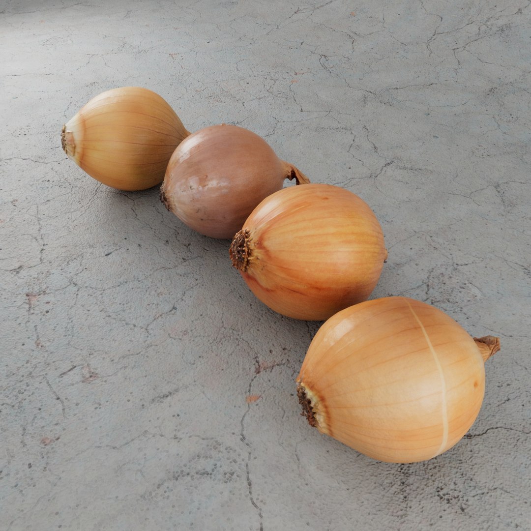 onion vegetable 3D model https://p.turbosquid.com/ts-thumb/Sr/sG5FZC/ryiv1AOl/preview5/jpg/1569775150/1920x1080/fit_q87/a2c1590d04763503f50f8733048978a7b66c0ced/preview5.jpg