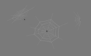 Web And Spider