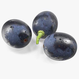 3D model black grapes