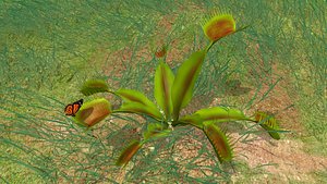 venus flytrap dionaea obj