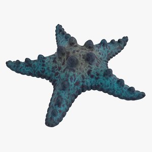 realistic blue starfish 3D model